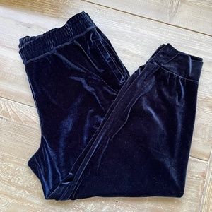 Luxe Velour Jogger
